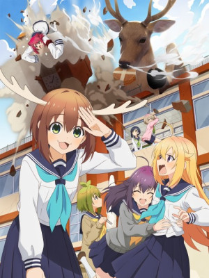 Shikanoko Nokonoko Koshitantan