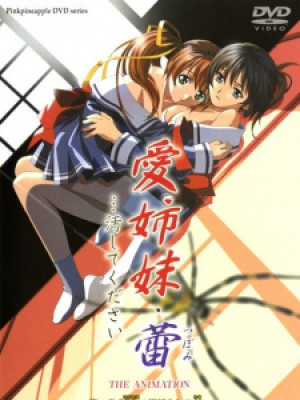 Ai Shimai Tsubomi... Kegashite Kudasai