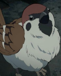 Ukogi