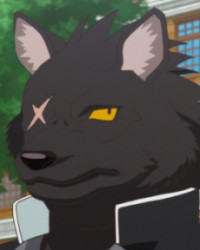 Wolf Kuromori
