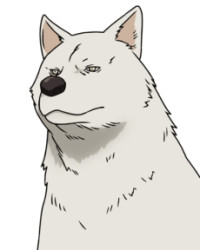 Inu